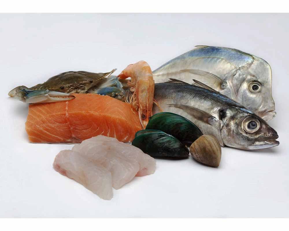 مصرف غذاهای دریایی مثل ماهی چه تاثیری در نارسایی کلیه دارد؟ مصرف غذاهای دریایی مثل ماهی چه تاثیری در نارسایی کلیه دارد؟