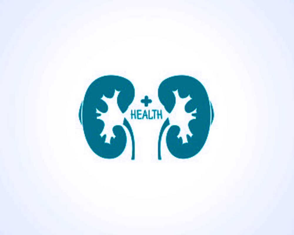 Infographic on Kidney Health