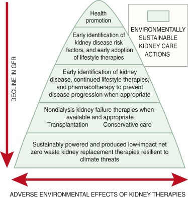 environmental effects