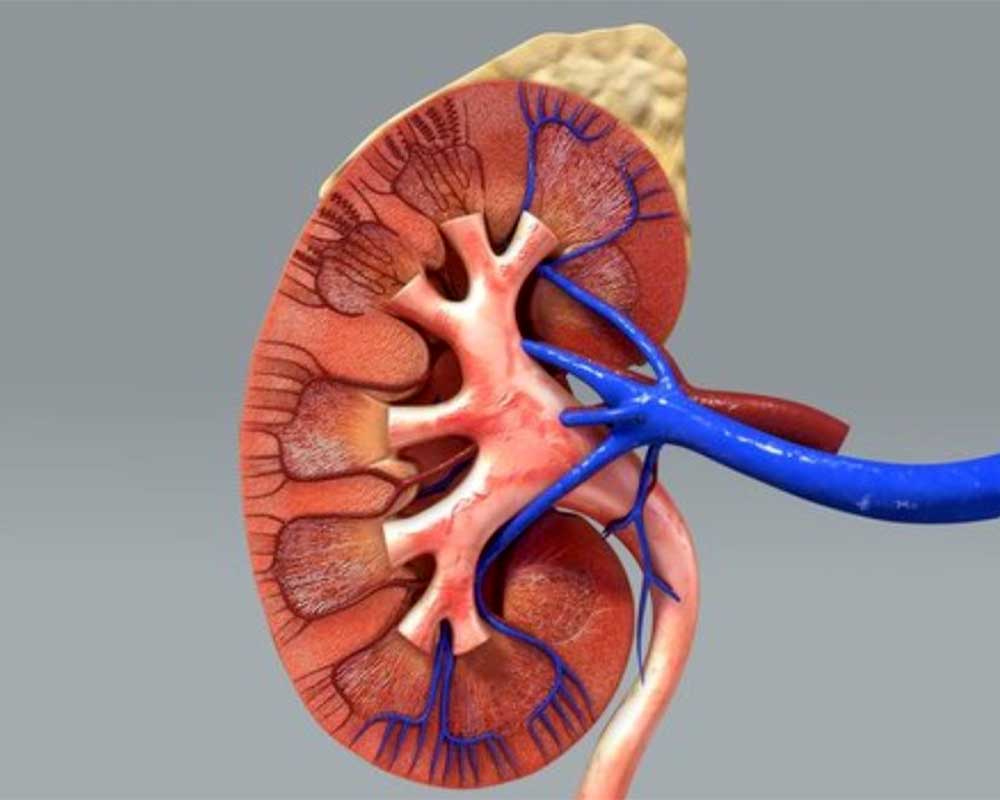 علائم هشدار در نارسایی کلیه