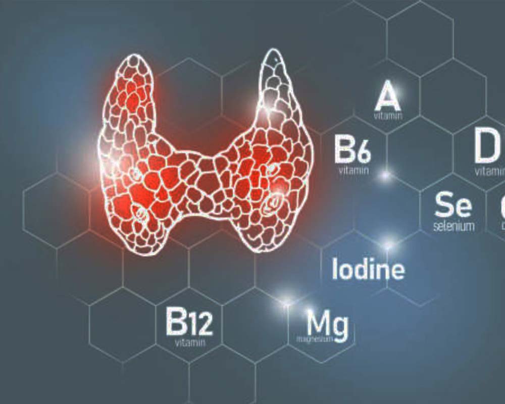 thyroid