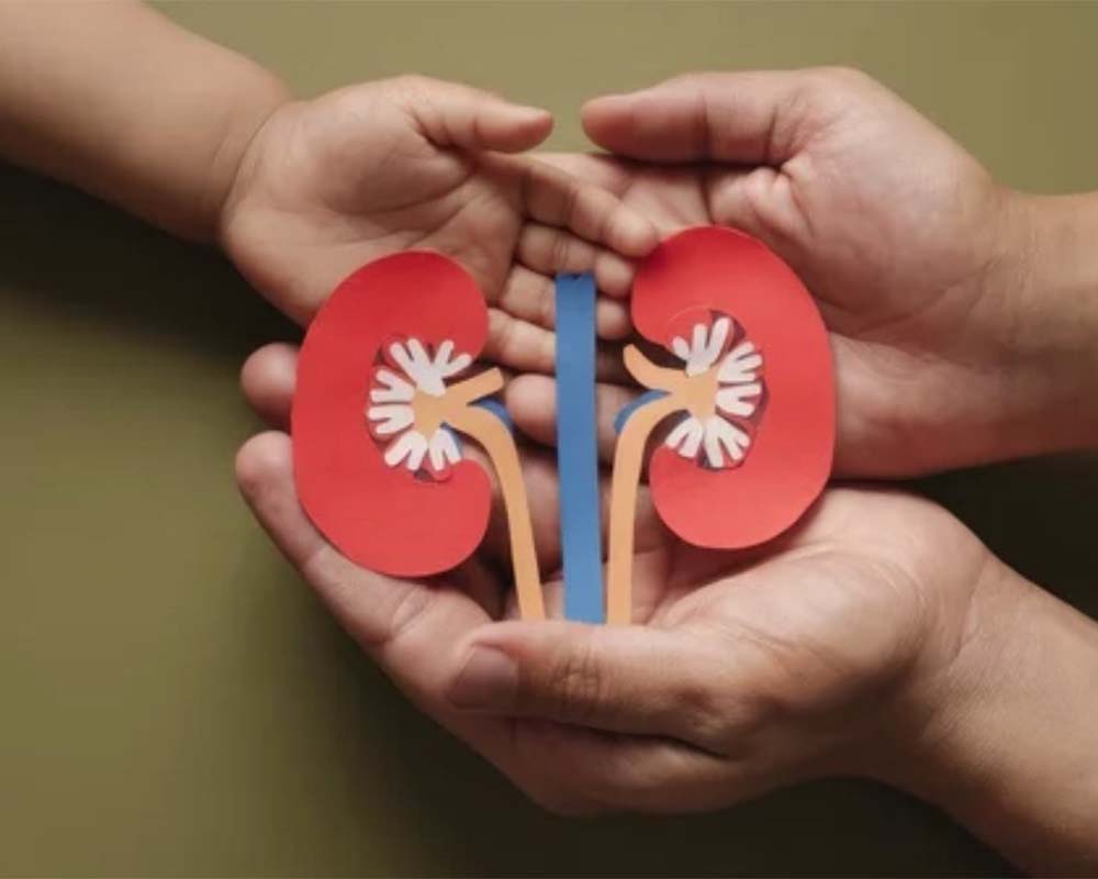 غذاهای مفید در رژیم ضدالتهاب